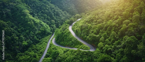 Birds Eye View Of Winding Mountain Road Nestled In Lush Green Forest. Сoncept Nature's Serenity, Majestic Mountain Views, Green Enchantments, The Road Less Traveled