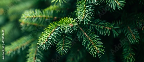 Festive Christmas Background With A Closeup Of A Vibrant Green Fir Tree Branch. Сoncept New Year's Eve Party Decorations, Romantic Candlelight Dinner, Nature-Inspired Wedding Theme