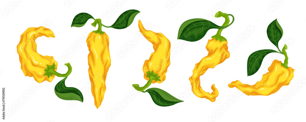 Set of hot yellow chili pepper pods.Vector graphics.