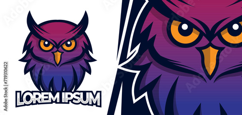 Fototapeta Naklejka Na Ścianę i Meble -  Owl bird mascot logo design, Owl esport logo mascot, Gamer logo design