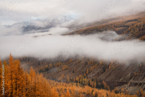 Amazing narrow white misty cloud over an autumn mountain valley. Layers of fog.