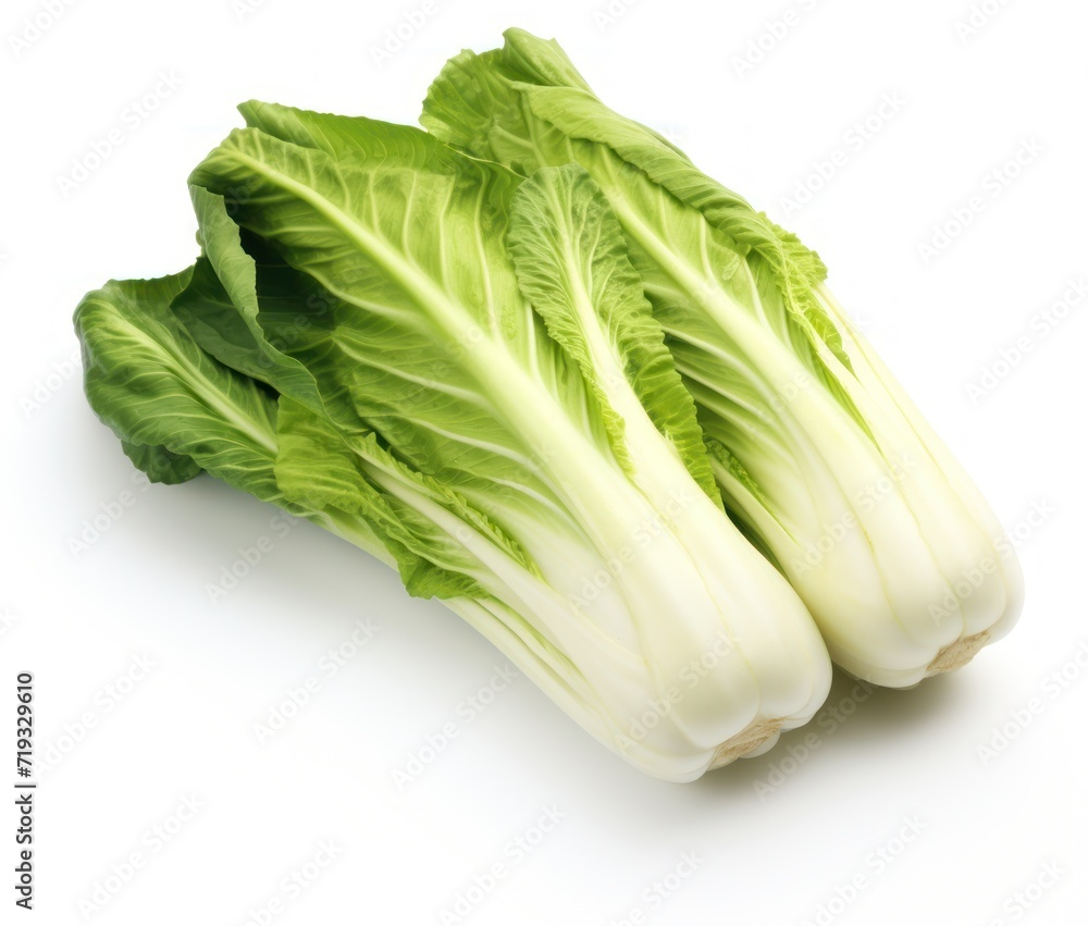 Chinese cabbage 3D close up cutout minimal isolated on white background. Grocery flyer for promo sale, package. Ultra realistic cabbage, icon, detailed. Product advertising Chinese cabbage 3D close up cutout minimal isolated on white background. Grocery flyer for promo sale, package. Ultra realistic cabbage, icon, detailed. Product advertising