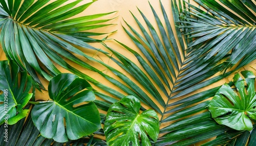tropical palm leaves background © Leila