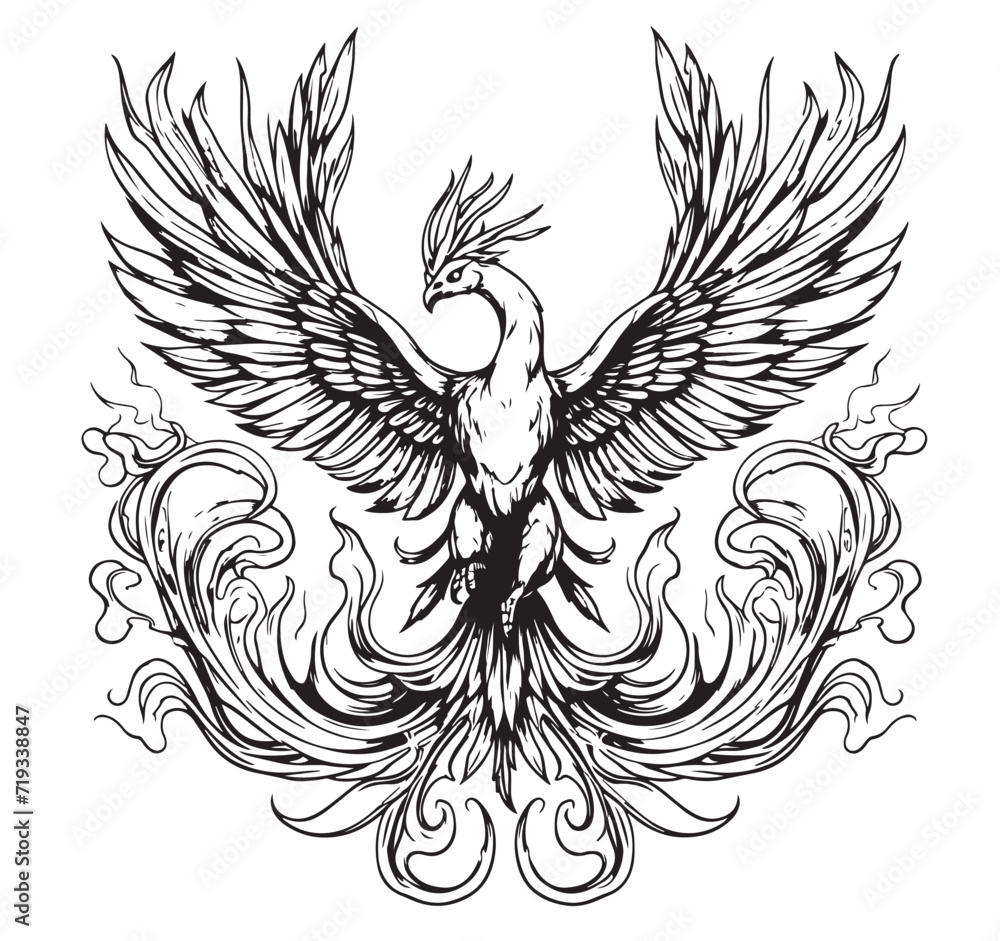 Obraz premium Phoenix bird sketch hand drawn Vector illustration Myths