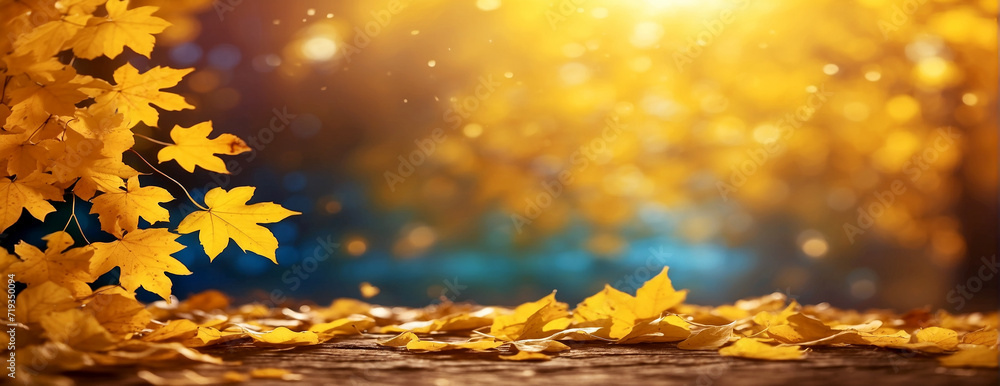 Beautiful autumn abstract background with yellow leaves and sunshine.