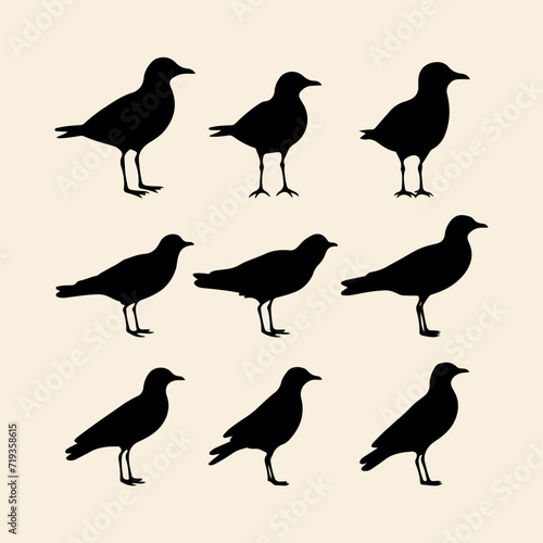 Gull Bird Black Silhouette. Drawing Gull Bird collection Set. Freehand Drawing And Vector Illustration