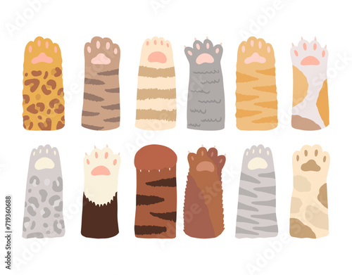 Vector cartoon set of various cute cat paws with soft pads and claws. Funny paws raised up. A flat illustration isolated on a white background.