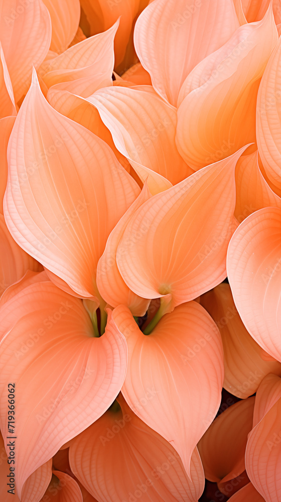 Peach leaves close up. Background in peach fuzz color. Aspect ratio 9:16