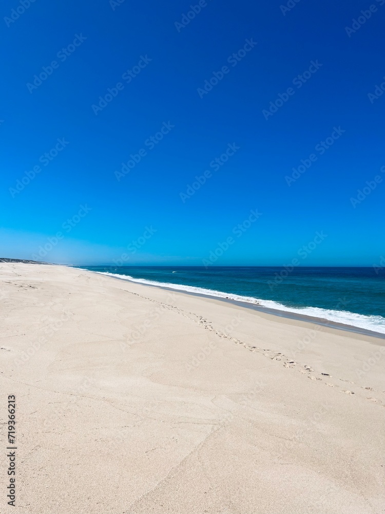 Blue seascape, sandy sea coastline, empty wild beach, pure blue sky, sea horizon