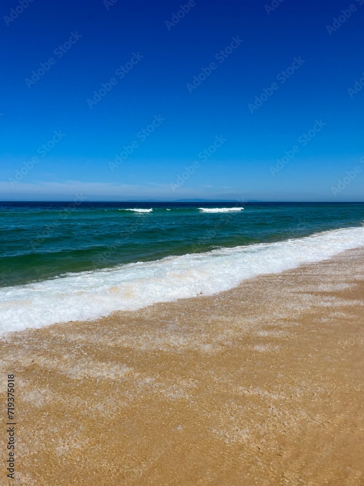 Blue seascape, sandy sea coastline, empty wild beach, pure blue sky, sea horizon Blue seascape, sandy sea coastline, empty wild beach, pure blue sky, sea horizon