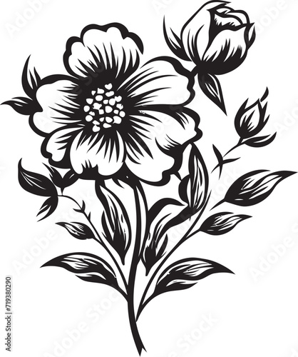 Fototapeta Naklejka Na Ścianę i Meble -  Shadowed Petal Portraits XVI Detailed Black Petal VectorsMonochromatic Blossom Beauty XV Dark Vector Blossom Beauty