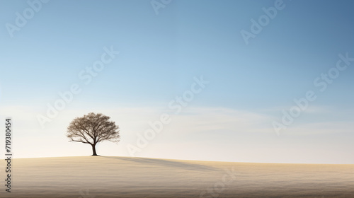 Lone Tree on a Barren Landscape at Twilight
