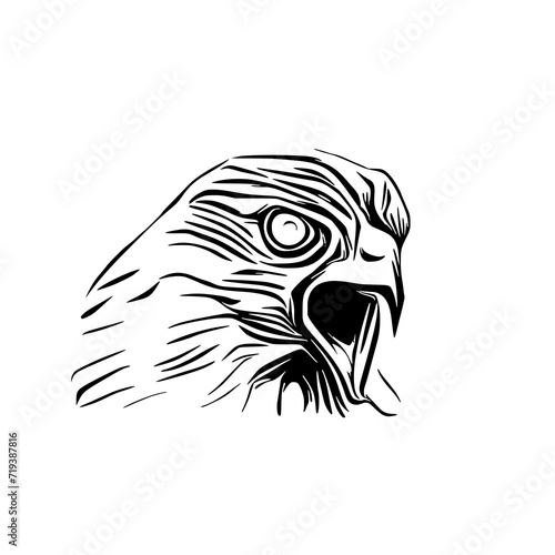 black and white sketch of an eagle s head with a transparent background for elements for making logos and symbols