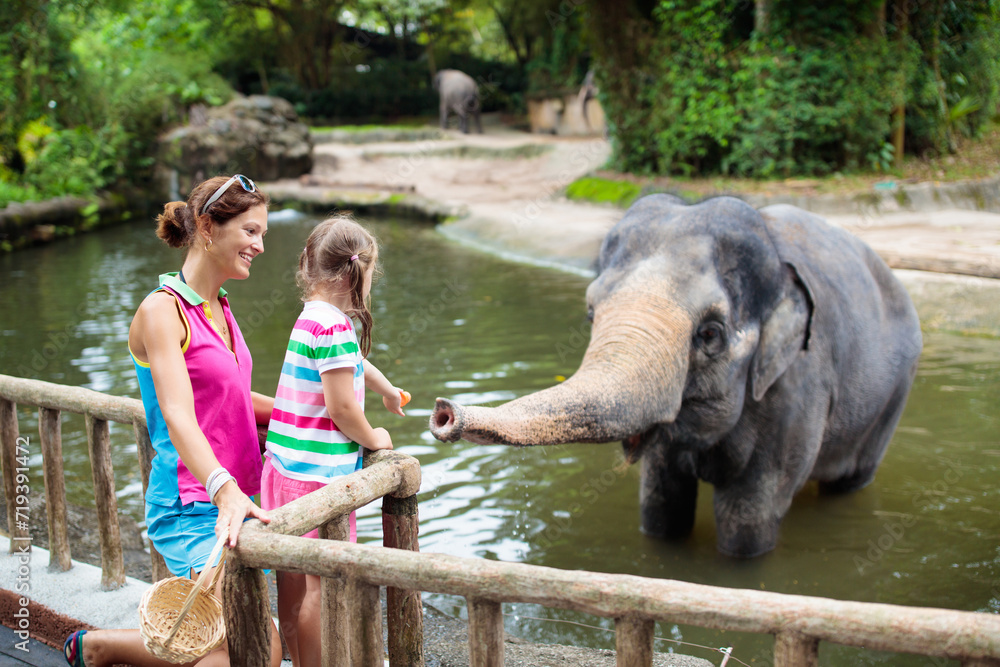 Kids feed elephant in zoo. Family at animal park. Stock Photo Adobe Stock