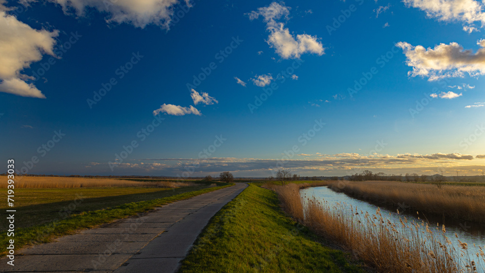 Olszynka, Gdańsk