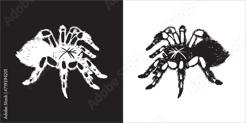 Illustration vector graphics of spider icon