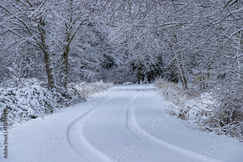 winter road in the forest