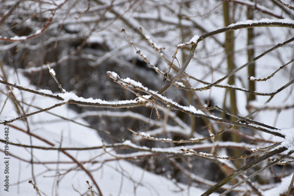 Snow covered tree branches against background of dark stream. Water reflections, white snow drifts on brook bank. Winter landscape, scenic view, cold weather.