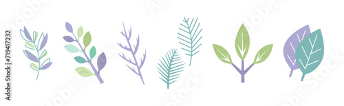 Simple Leaf and Foliage Element with Stem Vector Set photo