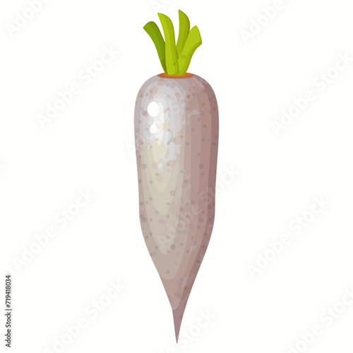 Daikon radish with a green peduncle. Vector planet of horseradish rhizomes, an organic spice seasoning.