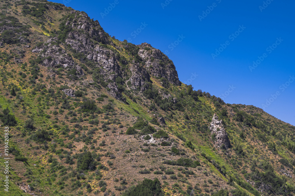 Rocky mountains with green grass under a blue sky in summer