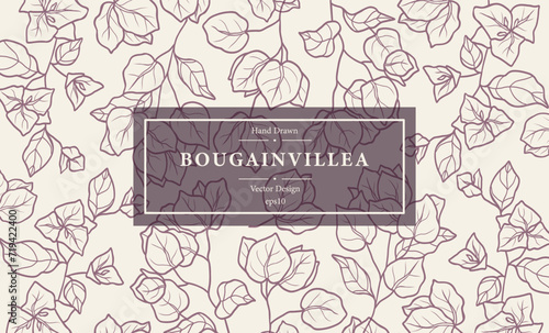 Line art bougainvillea flower branch background