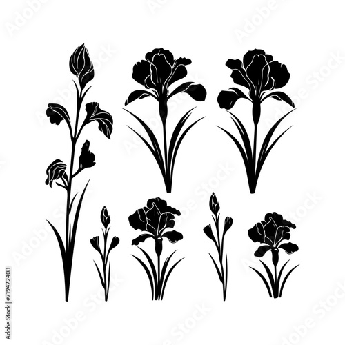 Iris flower black silhouette. Attractive tulips, narcissus, iris flower art, and vector illustration
