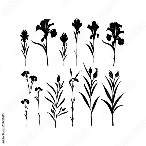 Iris flower black silhouette. Attractive tulips, narcissus, iris flower art, and vector illustration