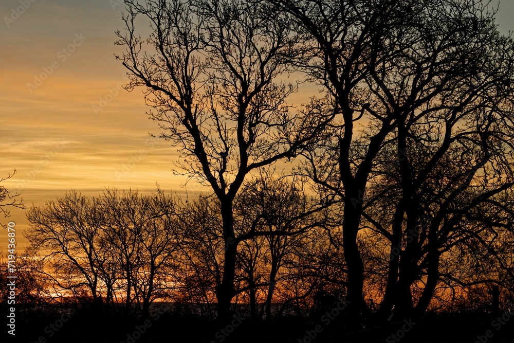 As Dawn Breaks, Sunrise Silhouettes As Dawn Breaks, Sunrise Silhouettes