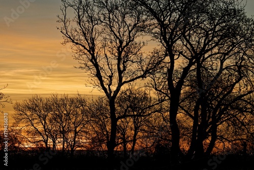As Dawn Breaks, Sunrise Silhouettes