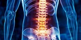 illustration of an X-ray showing a patient's lower back pain with detailed spinal anatomy