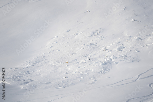 Winterliche Alpen, Überreste eines Lawinenabgangs. Schneetrümmer verteilen sich über das Berggelände und zeigen die Kraft der Lawine auf den schneebedeckten Hängen