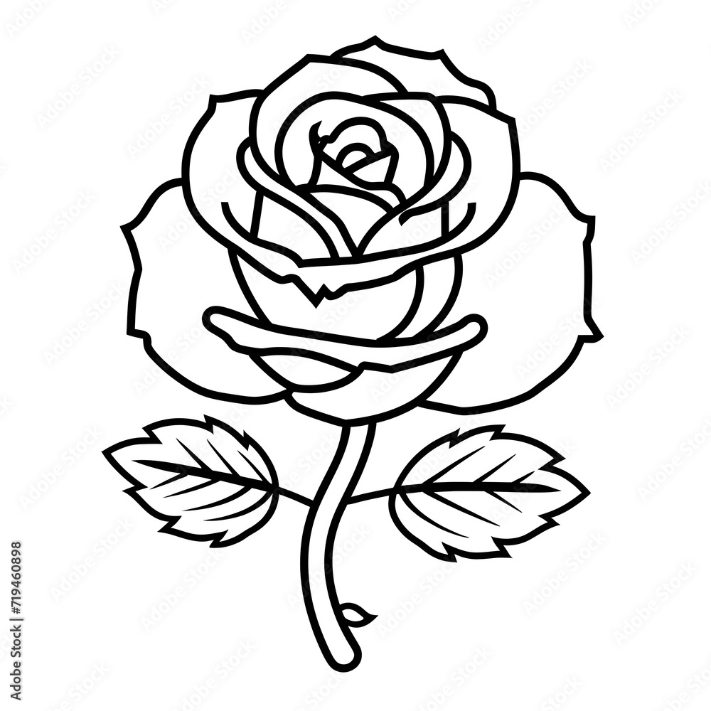black and white rose black and white rose