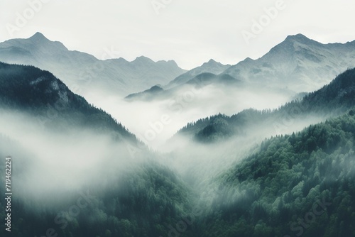 Beautiful landscape with fog in the mountains. Natural background. © Alexandra Selina