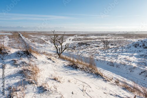 A spectacular winter landscape in the Russian countryside with waterfront. Surroundings of Taganrog. photo