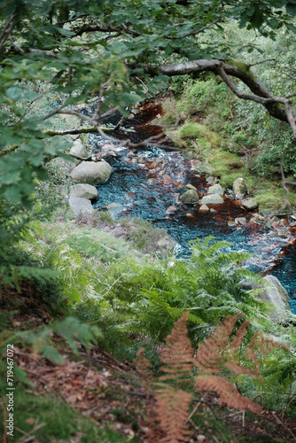 River Etherow  photo