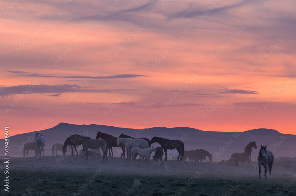 Wild Horses in the Utah Desert at Sunset Wild Horses in the Utah Desert at Sunset