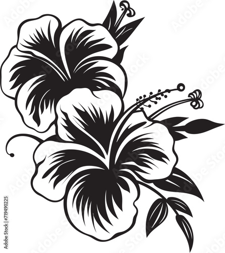 Moonlit Petal Patterns Black Floral Vector MagicEbony Blossom Ensemble Vectorized Tropical Florals