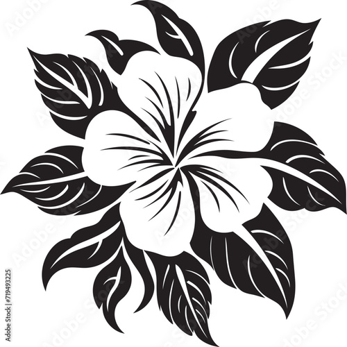 Fototapeta Naklejka Na Ścianę i Meble -  Midnight Hibiscus Harmony Vectorized Floral SerenitySable Botanical Melody Black Floral Vector Flora