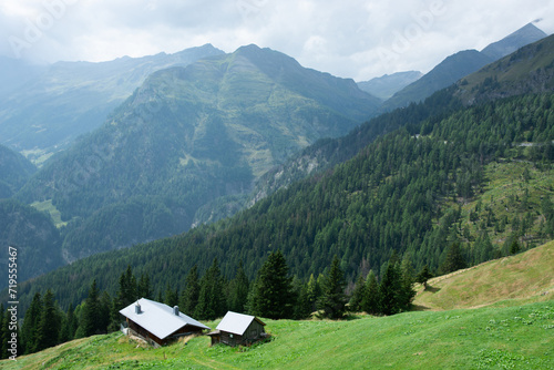 Alpine landscape in Austria 