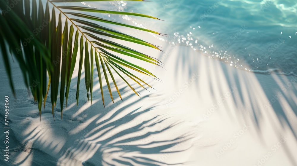 palm leaf shadow on abstract white sand beach background - obrazy, fototapety, plakaty 