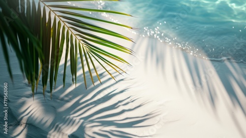 palm leaf shadow on abstract white sand beach background © Chingiz