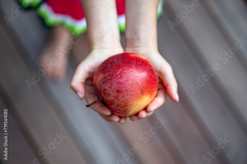 A girl holding beautiful ripe red apple in her cupped hands