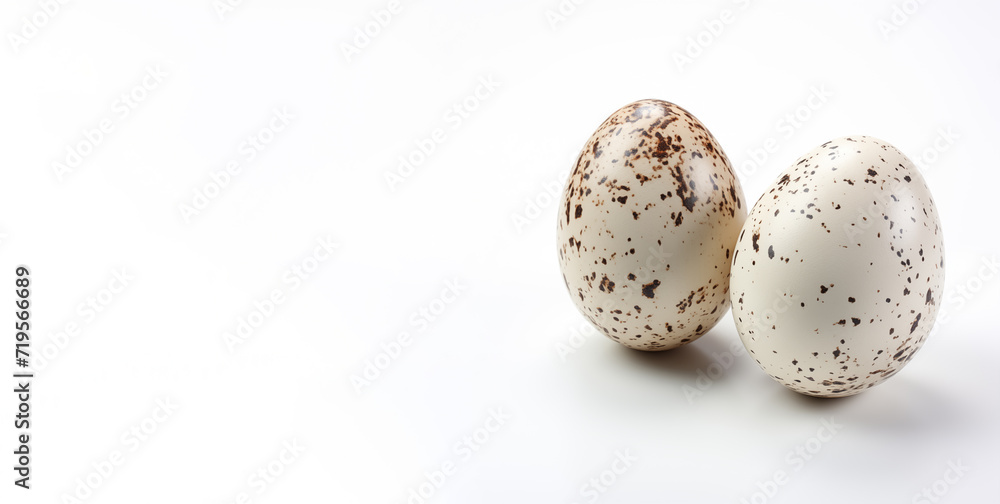 two chicken eggs on a white background