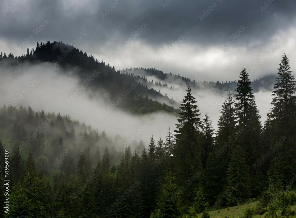 Fototapeta premium Dark foggy mountains wallpaper