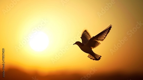 The concept of freedom  a bird in flight against a golden hour sky  the sense of liberation.