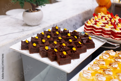 Chocolate Cakes with Flower on Top. Delicious Dessert.