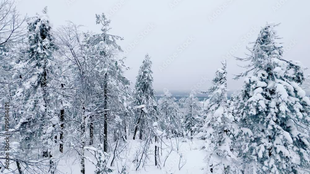 Stone Town in winter in the Perm region. Frozen snow-covered winter forest, deeply covered with snow in sunlight. Forest in the snow. Snowy winter. Trees in the snow in the Stone City. Russia. 4К Stone Town in winter in the Perm region. Frozen snow-covered winter forest, deeply covered with snow in sunlight. Forest in the snow. Snowy winter. Trees in the snow in the Stone City. Russia. 4К