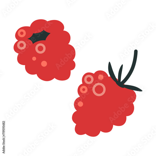 Raspberries, cartoon style. Trendy modern vector illustration isolated on white background, hand drawn, flat design