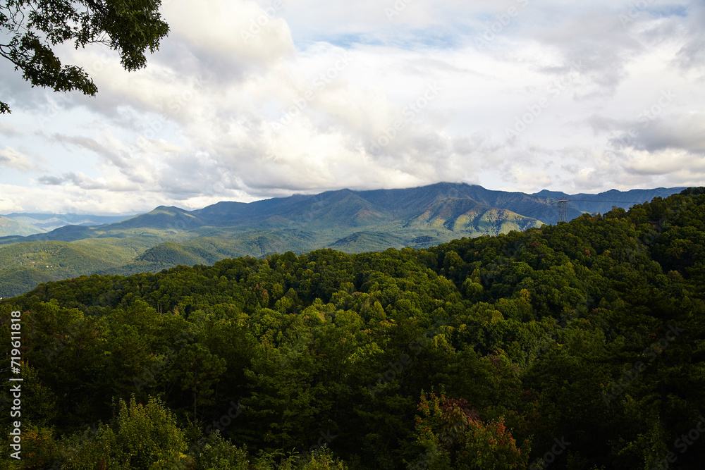 Serene Smoky Mountains Vista with Autumn Foliage from Hillside Perspective